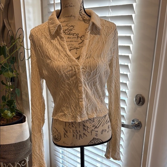 willow & Root Tops - Cream Button-Up Women's Top